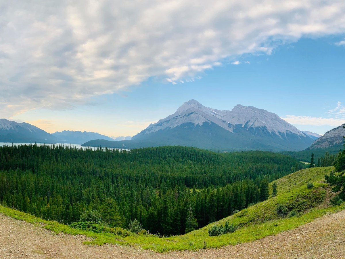 The One Thing I thought I’d Never&nbsp;Need